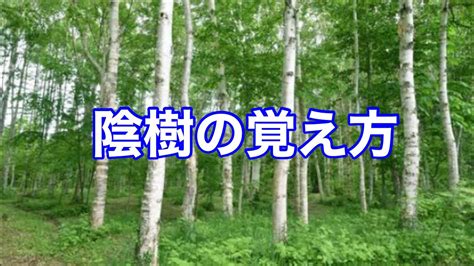 陽樹種類|雑木林の遊歩道～植生【陽樹・陰樹・落葉樹・常緑樹・広葉樹・。